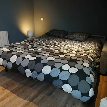 Guest Vip Apartment Annecy
